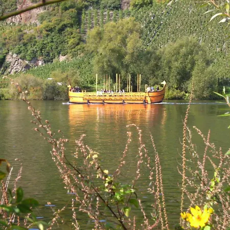 Ferienwohnung Moselblick
